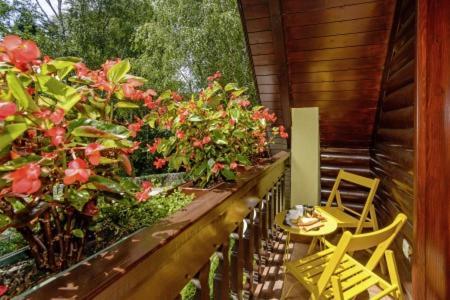 Chalets Bogo & Neno Ledenice Ngoại thất bức ảnh